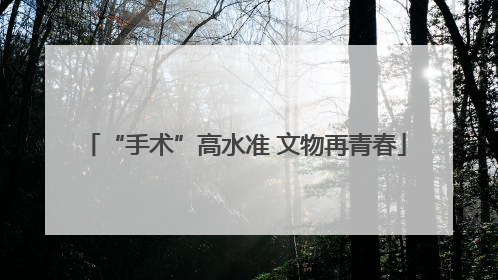 “手术”高水准 文物再青春