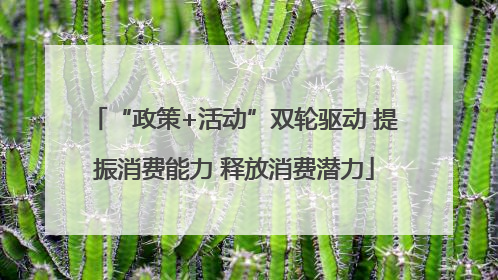 “政策+活动”双轮驱动 提振消费能力 释放消费潜力