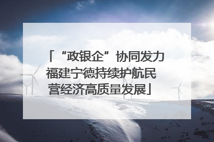 “政银企”协同发力 福建宁德持续护航民营经济高质量发展