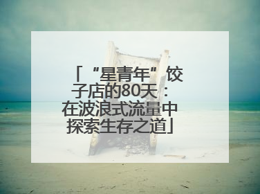 “星青年”饺子店的80天：在波浪式流量中探索生存之道