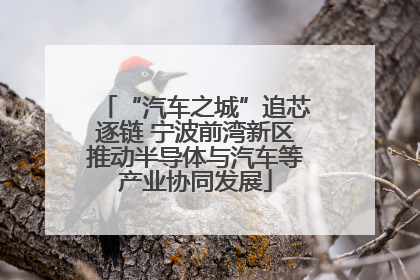 “汽车之城”追芯逐链 宁波前湾新区推动半导体与汽车等产业协同发展