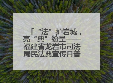 “法”护岩城，亮“典”纷呈——福建省龙岩市司法局民法典宣传月普法活动纪实