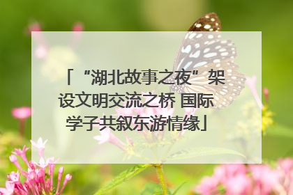“湖北故事之夜”架设文明交流之桥 国际学子共叙东游情缘