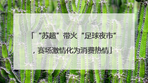 “苏超”带火“足球夜市”，赛场激情化为消费热情