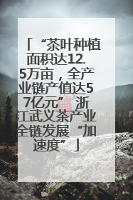 “茶叶种植面积达12.5万亩，全产业链产值达57亿元” 浙江武义茶产业全链发展“加速度”