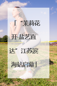 “茉莉花开·盐艺直达”江苏滨海站启幕