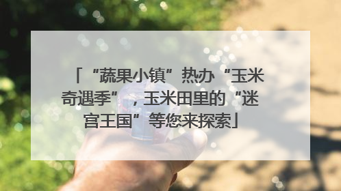 “蔬果小镇”热办“玉米奇遇季”，玉米田里的“迷宫王国”等您来探索