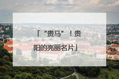 “贵马”！贵阳的亮丽名片