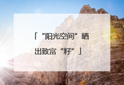 “阳光空间”晒出致富“籽”