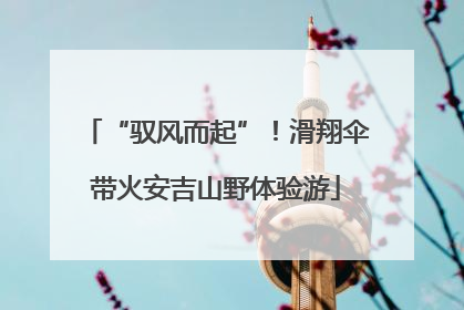 “驭风而起”！滑翔伞带火安吉山野体验游