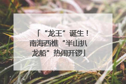 “龙王”诞生！南海西樵“半山扒龙船”热闹开锣