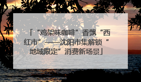 “鸡架味咖啡”香飘“西红市”——沈阳市集解锁“地域限定”消费新场景