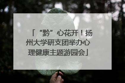 “黔”心花开！扬州大学研支团举办心理健康主题游园会
