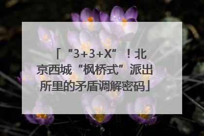 “3+3+X”！北京西城“枫桥式”派出所里的矛盾调解密码