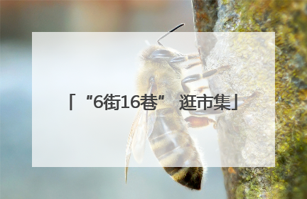 “6街16巷” 逛市集
