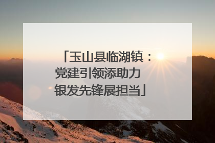 玉山县临湖镇：党建引领添助力 银发先锋展担当