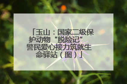 玉山：国家二级保护动物“脱险记” 警民爱心接力筑就生命驿站（图）