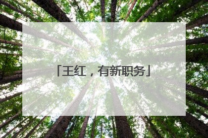 王红，有新职务