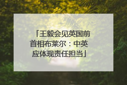 王毅会见英国前首相布莱尔：中英应体现责任担当