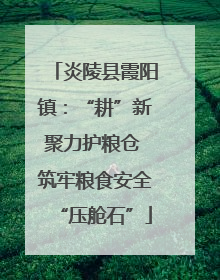 炎陵县霞阳镇：“耕”新聚力护粮仓 筑牢粮食安全“压舱石”