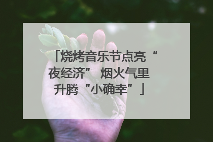 烧烤音乐节点亮“夜经济” 烟火气里升腾“小确幸”