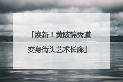 焕新！黄陂锦秀道变身街头艺术长廊