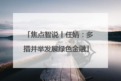 焦点智说丨任婧：多措并举发展绿色金融