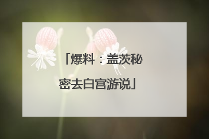 爆料：盖茨秘密去白宫游说