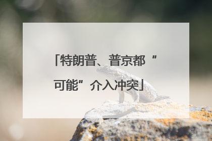 特朗普、普京都“可能”介入冲突