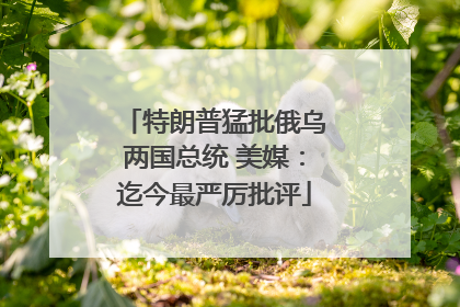 特朗普猛批俄乌两国总统 美媒：迄今最严厉批评