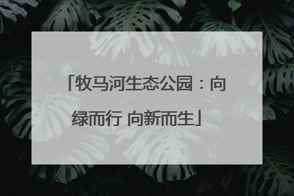 牧马河生态公园：向绿而行 向新而生