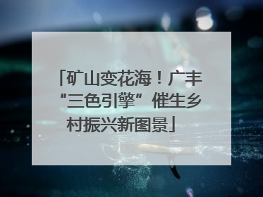矿山变花海！广丰“三色引擎”催生乡村振兴新图景