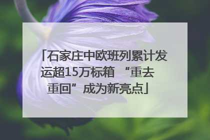 石家庄中欧班列累计发运超15万标箱 “重去重回”成为新亮点