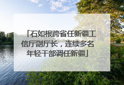 石如根跨省任新疆工信厅副厅长，连续多名年轻干部调任新疆