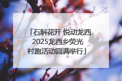 石斛花开 悦动龙西 2025龙西乡荧光村跑活动圆满举行