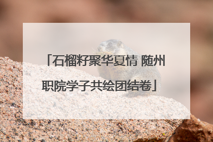 石榴籽聚华夏情 随州职院学子共绘团结卷