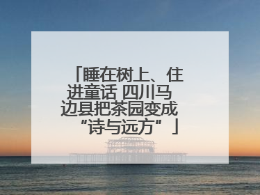 睡在树上、住进童话 四川马边县把茶园变成“诗与远方”