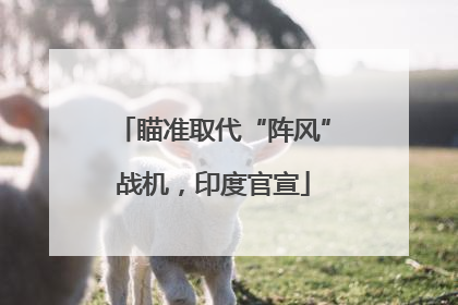 瞄准取代“阵风”战机，印度官宣