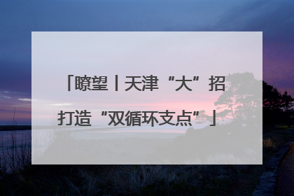 瞭望丨天津“大”招打造“双循环支点”
