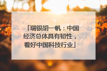 瑞银胡一帆：中国经济总体具有韧性，看好中国科技行业
