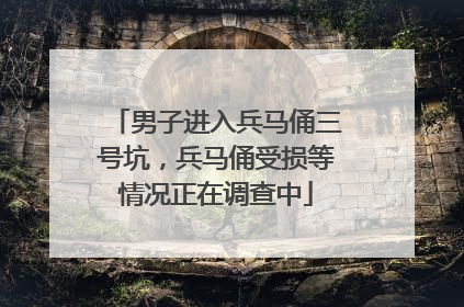 男子进入兵马俑三号坑，兵马俑受损等情况正在调查中