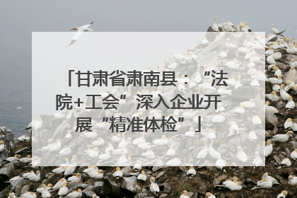 甘肃省肃南县：“法院+工会”深入企业开展“精准体检”
