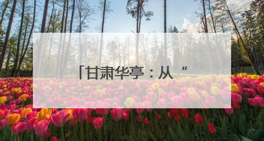 甘肃华亭：从“黑煤”到“绿链”的转型突围