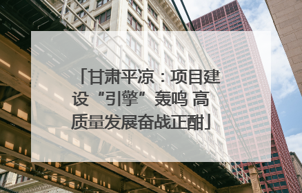甘肃平凉：项目建设“引擎”轰鸣 高质量发展奋战正酣