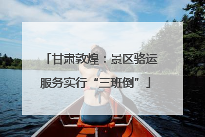 甘肃敦煌：景区骆运服务实行“三班倒”