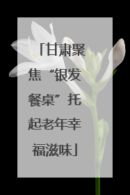 甘肃聚焦“银发餐桌”托起老年幸福滋味
