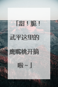 甜！脆！武平这里的鹰嘴桃开摘啦～