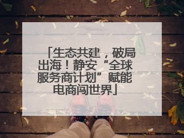 生态共建，破局出海！静安“全球服务商计划”赋能电商闯世界