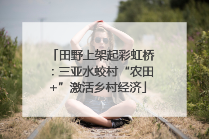 田野上架起彩虹桥：三亚水蛟村“农田+”激活乡村经济