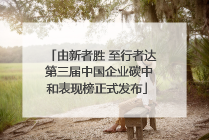 由新者胜 至行者达 第三届中国企业碳中和表现榜正式发布